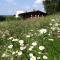 Ellernhof im Spessart