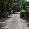 Les rives dAuzon