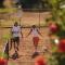 Alp Wellness Sport Hotel Panorama