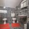 Apartman Ružica