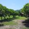 Phurang Hill Resort