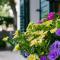 Vana & Tea Luxury Studio Apartment