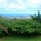 The Great Kona Escape