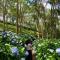 Qingshan Homestay
