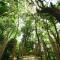 LIDO FORESTRY SPA RESORT