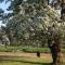 L'Orchard photo 20