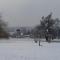 L'Orchard photo 17