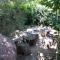Areni Tavern-B&B