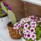 Comfy Boutique Hotel