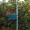 Asbn Magic Garden