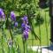 Il Paradiso monolocale Cottage