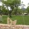 Camping Castillo de Loarre