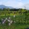 Yi Tian Homestay - Fengli