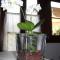 Bed & Breakfast Ca di Vissai
