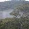 The Rainforest Ecolodge - Sinharaja with Shuttle Service from Car Park