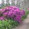 Malvern Manor Country Guest House
