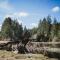Port Hardy Cabins
