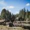 Port Hardy Cabins