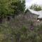 Oak Tree Lodge