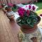 Giusy Bed and Breakfast - Marina di Carrara