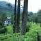 Gruenberg Tea Plantation Haus - Munnar