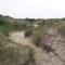 Chalet Dalile IJmuiden aan Zee vlakbij het strand - IJmuiden