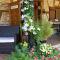 Le Venay photo 17