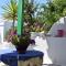 Paradise Garden Paros