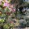 Arcadia Guesthouse