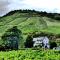 Relaxen im alten Winzerhaus Fewo EG