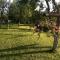 Guest House Klanfar
