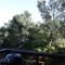 Allan Grove 2 - Knysna