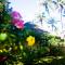 Vitton Resort - Donsol