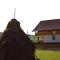 Acasa in Maramures - Fereşti