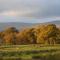 Loch Lomond Finnich Cottages - Drymen