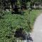 Guest House Vitali