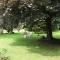 Pied des Milles Etang - Les Capucins photo 8