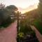 Theocharis Paradise