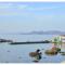 SeaScape Mandrakia