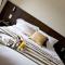 Best Western Plus Hotel des Francs