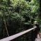 Foto: Daintree Eco Lodge 38/54