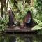Daintree Ecolodge
