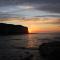 Shearwater