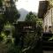 Boutique Vintage Forest Cabin