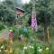 Boutique Vintage Forest Cabin