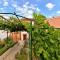 Apartment Puzar 295