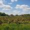 Cottages et B&B de Troussay - 谢韦尔尼