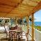 Sea Parrot Ocean View Manor