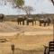 Tangala Safari Camp