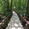 Pachira Lodge